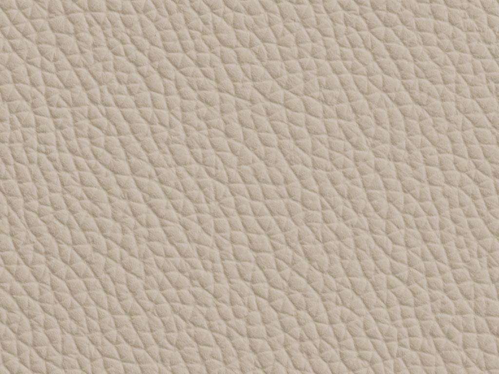 Beige (Pamama Beige col. 5528)