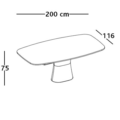 ca. 200 x 116 x 75H cm