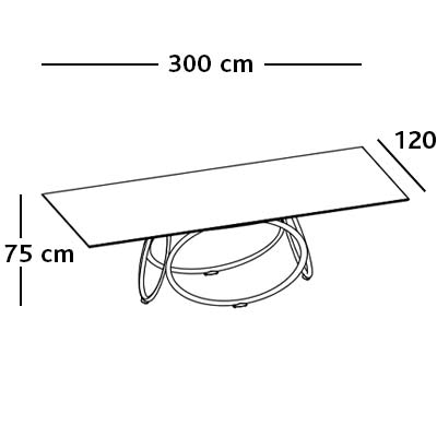 ca. 300 x 120 x 75H cm