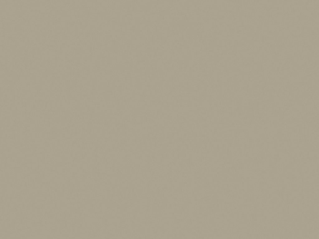 Beige (Polypropylen Sabbia Z029)