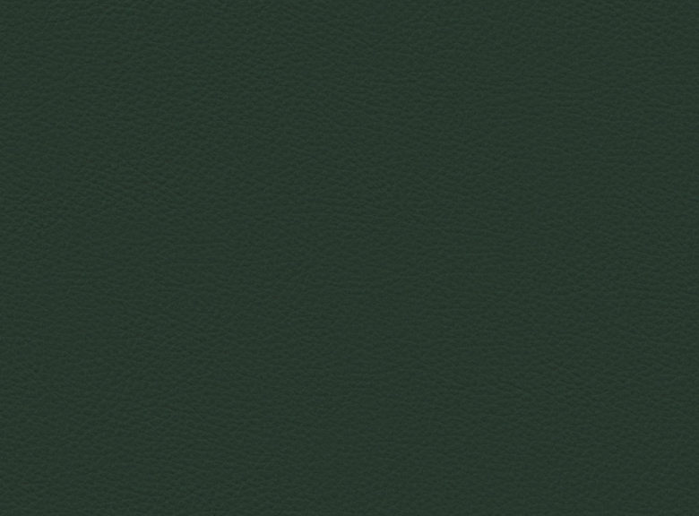 Grün (Savoy col. 0972 Deep Forest Green)