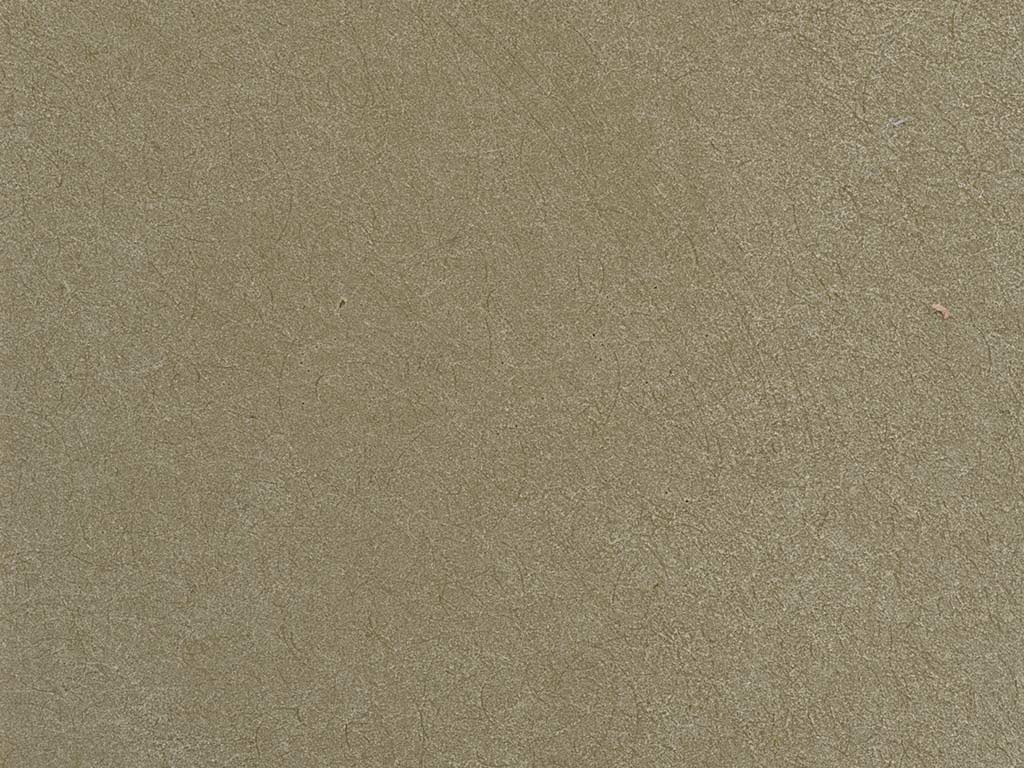 Beige (Poleasy Velvet VL 804 Beige)